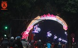 Hà Nội trang trí đèn, hoa trang nhã đón Tết Nguyên đán 2018